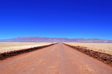 The path that crosses the Arizaro salt flat