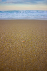 Fototapeta na wymiar Praia Beach