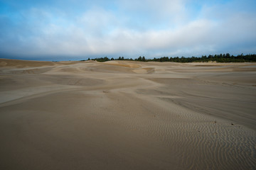 Fototapeta na wymiar Wide Open Sand Dunes