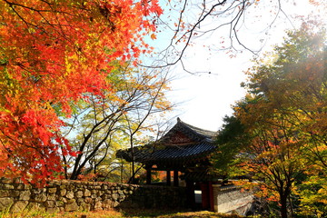 Fototapeta premium 아름다운 가을 단풍과 한국의 전통 건축물