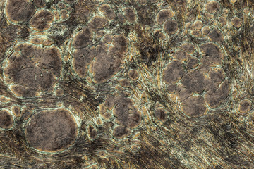 Metal background copper