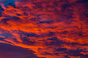 Fire Like Sky in Joshua Tree