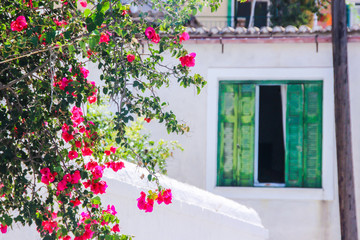 Corfu island cosy streets, towns, architecture, buildings, landmarks, vegetation, historical heritage, Greece