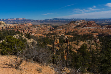 Fototapeta na wymiar Bryce canyon national park in the Utah USA 