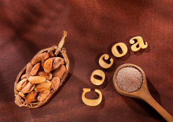 Cocoa powder and cocoa beans on dark background - Theobroma cacao