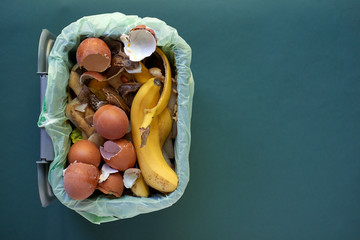 Top View of Garbage Bin with Organic Trash with Copy Space