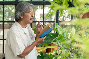 Naklejka na ściany i meble Healthy Asian senior man enjoy retirement in his greenhouse garden with reading a book. Handsome old man relaxing at home during quarantine. Elderly person lifestyle activity and healthcare concept.
