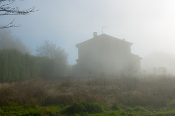 Naklejka na ściany i meble foggy day with house in the background