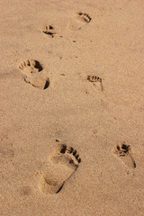 Footprints in the sand at the beach.