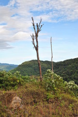 Rivers and waterfalls in the tropical forest of Panama
