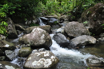 Rivers and waterfalls in the tropical forest of Panama	