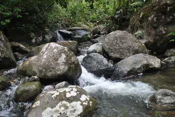 Naklejka na ściany i meble Rivers and waterfalls in the tropical forest of Panama 