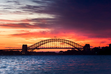 Fototapeta premium Sydney Harbour Bridge at sunset