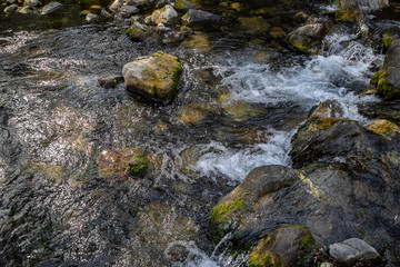 Río corre entre piedras en paisaje verde selvático