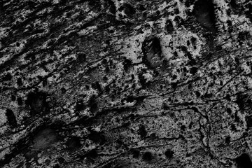 Stone Texture (Black and White)
