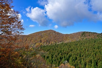 展望台から見る大山の紅葉風景＠鳥取