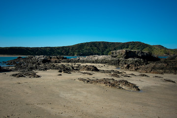 Beautiful view of Matai bay, Northland, New Zealand