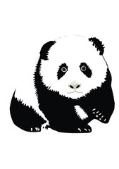 Panda vetor