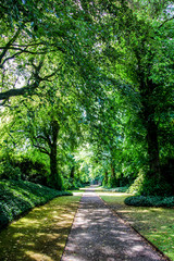 path in the park, garden path