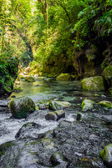 Fototapeta na wymiar Río corre entre piedras en paisaje verde selvático
