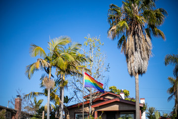 LGBTQ+ pride in the spring