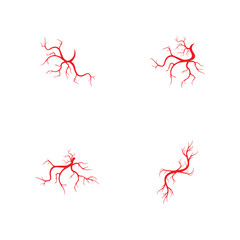 human veins, red blood vessels design and arteries Vector illustration isolated