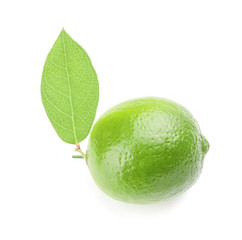 Green lime on white background