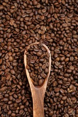 Coffee beans in a  spoon on coffee beans background.Roasted coffee beans close-up.copy space