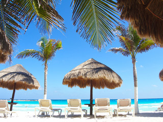 Tropical sunny beach, beach concept