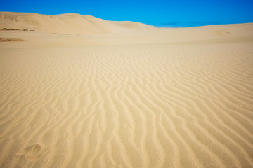 Giant Sand dunes situated in Northland, New Zealand
