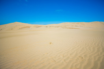 Fototapeta na wymiar Giant Sand dunes situated in Northland, New Zealand