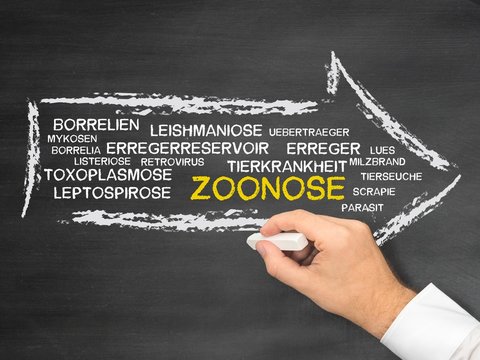 Zoonose