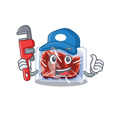 Frozen beef Smart Plumber cartoon character design with tool