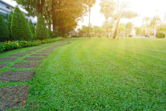 Pattern of Laterite steping stone on a green Lawn in the public park, Ficus and shurb on the left , Trees in background under evening sunlight
