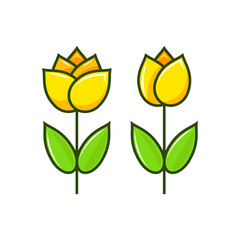 two kind tulip flowers illustration in graphic vector