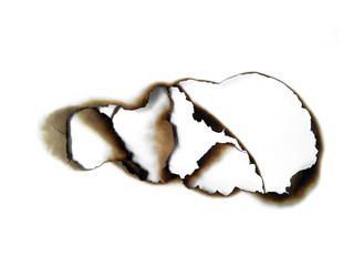 Collection of burnt holes in a piece of paper isolated on white background. Fire holes in white paper.