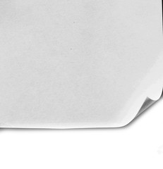 Old ripped paper isolated on white background with copy space for text