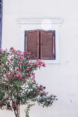 Fototapeta na wymiar Corfu South Mediterranean cosy streets, architecture, design, towns, doors, buildings Greece