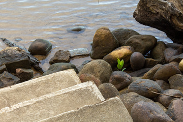 Fototapeta premium stones and steps on the beach