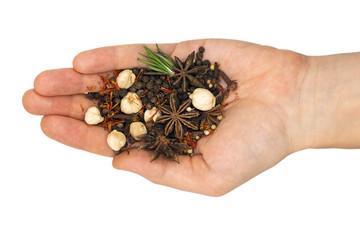 Close-up of human hand with different spiceson a white background isolated.
