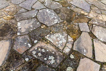 Texture of lichen on stone tiles