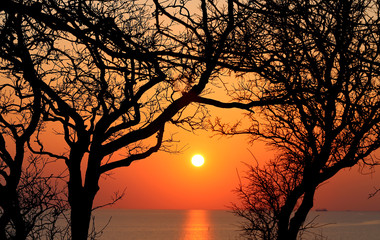 Beautiful photo landscape sunset seascape