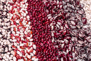 Several types of multicolored beans lay in the form of vertical stripes