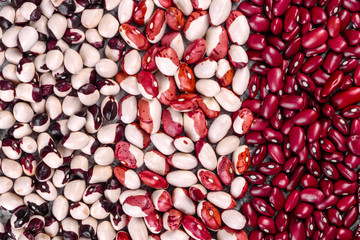Several types of multicolored beans lay in the form of vertical stripes