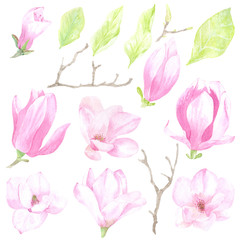 Watercolor tender set of flowers and leaves of magnolia. It is perfect for printing design, textile, souvenir products, web sites, scrapbooking, decoupage and other creative projects.