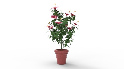 3D rendering of a house plant model computer generated © Sepia100