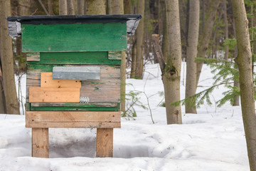 Wooden bee hives in an apiary forest farm