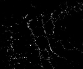 Splashes and drops of water are on a black background.