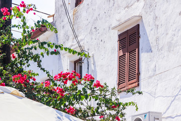 Fototapeta na wymiar Corfu historical heritage, architecture, streets, buildings, patios, doors, windows and vegetation, Greece, summer