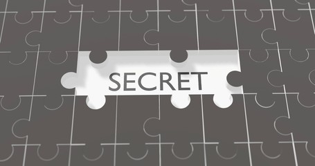 Fototapeta premium Secret letter in empty part puzzle. 3D black puzzle illustration with text in white background. 3D rendering